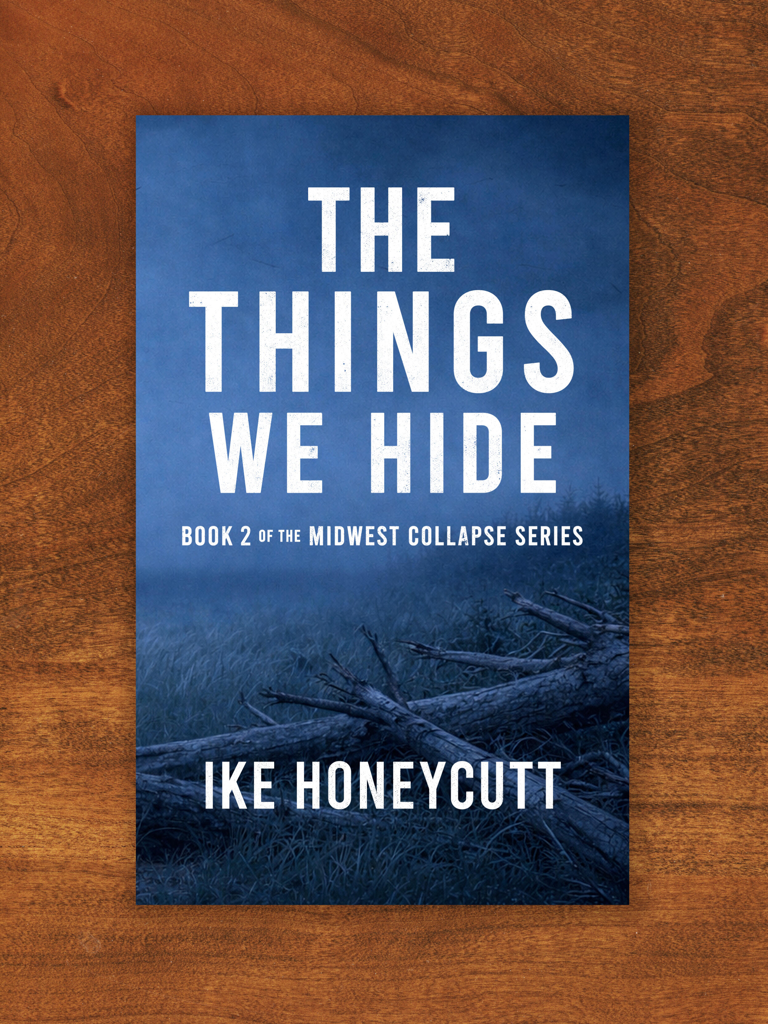 The Things We Hide The Things We Hide by Ike Honeycutt